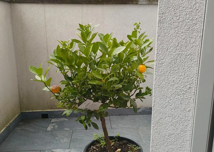 Appartement Relaxing Break Lario