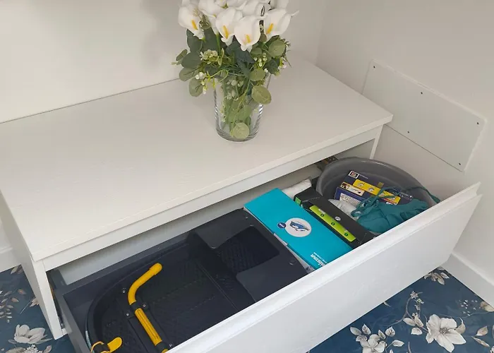 Relaxing Break Lario