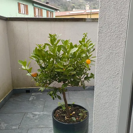 Apartament Relaxing Break Lario