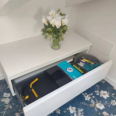 Relaxing Break Lario