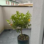 Apartamento Relaxing Break Lario