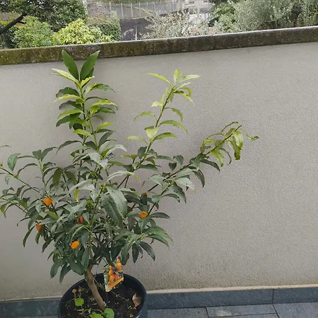 Relaxing Break Lario Appartement *